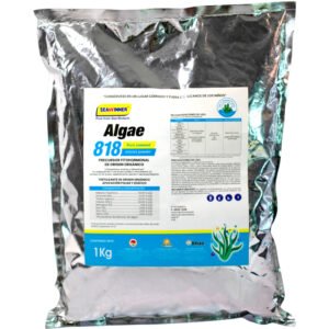 Algae