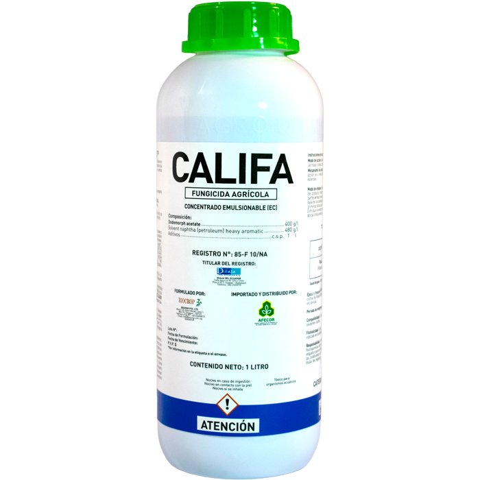 califa