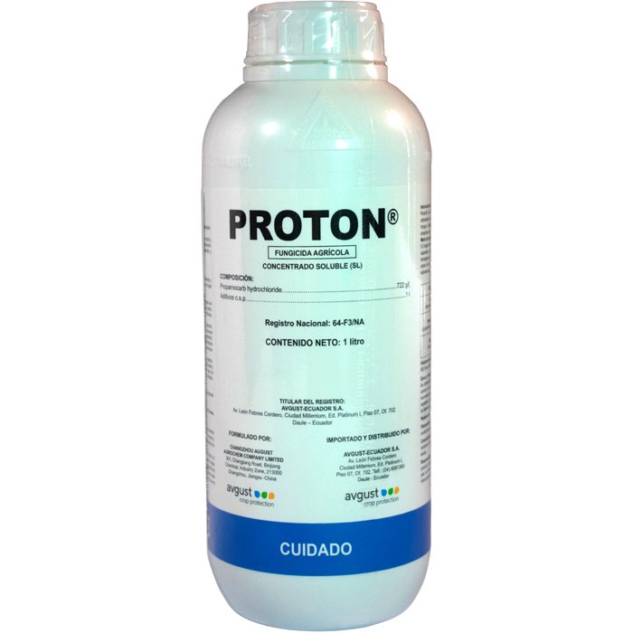 proton