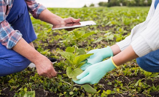 Grupo empresarial AEME